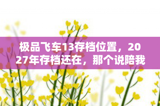 极品飞车13存档位置,2027年存档还在,那个说陪我到终点的人,却让我鼻子一酸 极品飞车13存档位置,2027年存档还在,那个说陪我到终点的人,却让我鼻子一酸