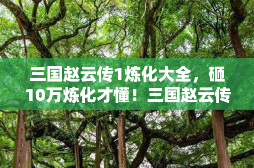 三国赵云传1炼化大全，砸10万炼化才懂！三国赵云传1的隐藏消费让我吓出冷汗