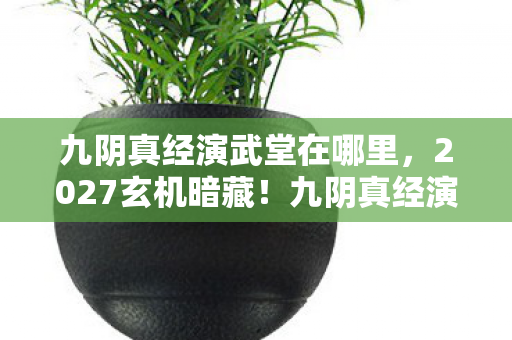 九阴真经演武堂在哪里，2027玄机暗藏！九阴真经演武沉默十年，究竟给了我什么？