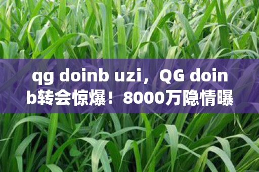 qg doinb uzi，QG doinb转会惊爆！8000万隐情曝光，背后真相让人吓一跳！