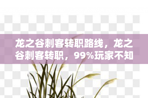 龙之谷刺客转职路线，龙之谷刺客转职，99%玩家不知的3大隐藏机制，转职后战力飙升300%！