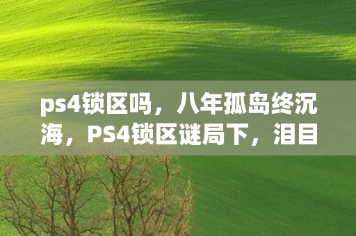 ps4锁区吗，八年孤岛终沉海，PS4锁区谜局下，泪目见证者只剩空账号