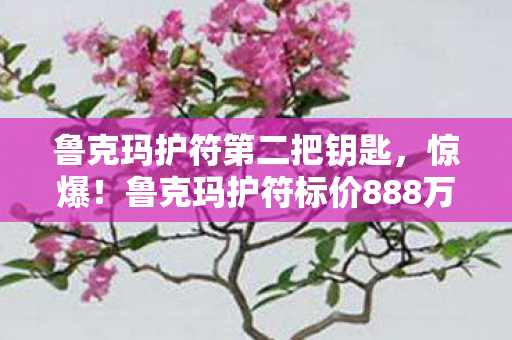 鲁克玛护符第二把钥匙，惊爆！鲁克玛护符标价888万背后隐情，离职老兵掀桌，这方案早该枪毙！
