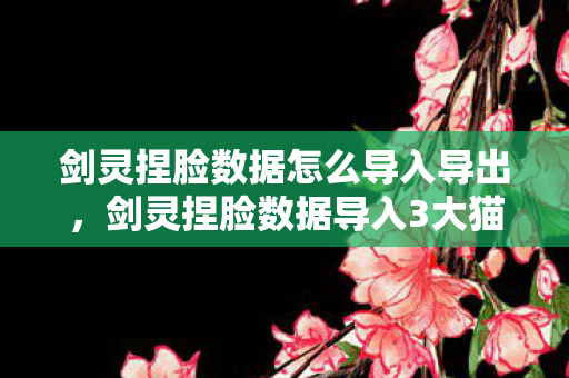 剑灵捏脸数据怎么导入导出,剑灵捏脸数据导入3大猫腻!99%玩家踩坑的上头操作 剑灵捏脸数据怎么导入导出,剑灵捏脸数据导入3大猫腻!99%玩家踩坑的上头操作