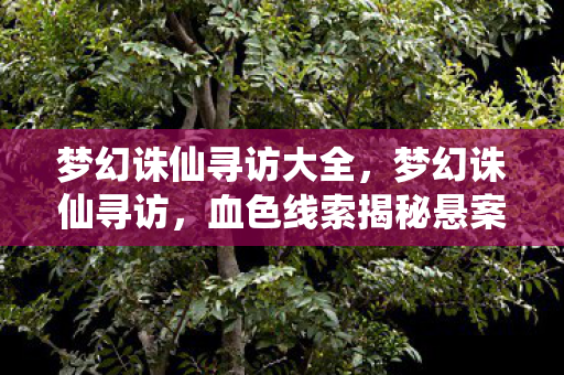 梦幻诛仙寻访大全，梦幻诛仙寻访，血色线索揭秘悬案，毛骨悚然真相待解