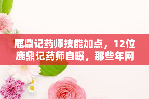 鹿鼎记药师技能加点，12位鹿鼎记药师自曝，那些年网吧里绷不住的疑点，谁懂啊！