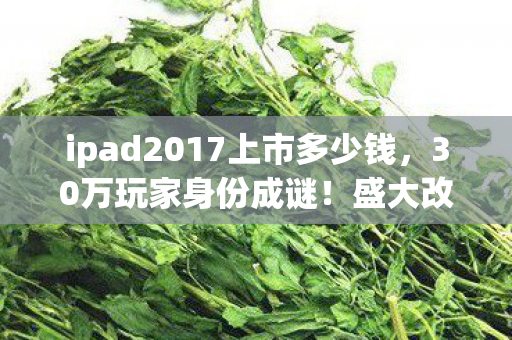ipad2017上市多少钱，30万玩家身份成谜！盛大改密码背后，谁在深夜默默心酸？