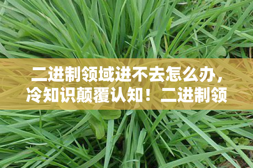 二进制领域进不去怎么办，冷知识颠覆认知！二进制领域进不去竟因这？真相让人目瞪口呆！