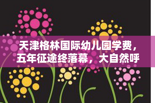 天津格林国际幼儿园学费，五年征途终落幕，大自然呼吸之谜，泪目见证DNF终章
