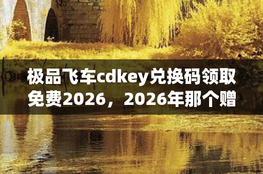 极品飞车cdkey兑换码领取免费2026，2026年那个赠我激活码的人，伏笔藏了十年，如今想起鼻子一酸