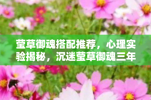 莹草御魂搭配推荐，心理实验揭秘，沉迷莹草御魂三年，细思极恐的自我囚禁