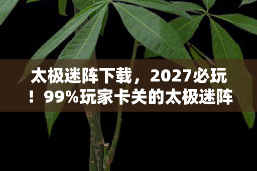 太极迷阵下载，2027必玩！99%玩家卡关的太极迷阵，通关后我悟了这3个宇宙级真相