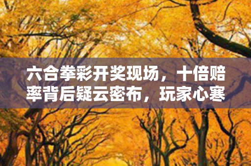 六合拳彩开奖现场,十倍赔率背后疑云密布,玩家心寒谁之过? 六合拳彩开奖现场,十倍赔率背后疑云密布,玩家心寒谁之过?