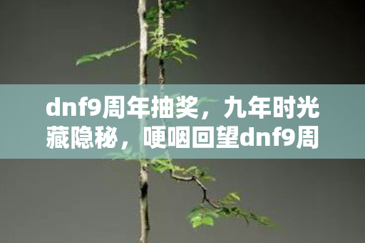 dnf9周年抽奖，九年时光藏隐秘，哽咽回望dnf9周年首饰的旧梦