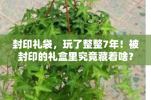 封印礼袋,玩了整整7年!被封印的礼盒里究竟藏着啥?选开or不开真纠结! 封印礼袋,玩了整整7年!被封印的礼盒里究竟藏着啥?选开or不开真纠结!