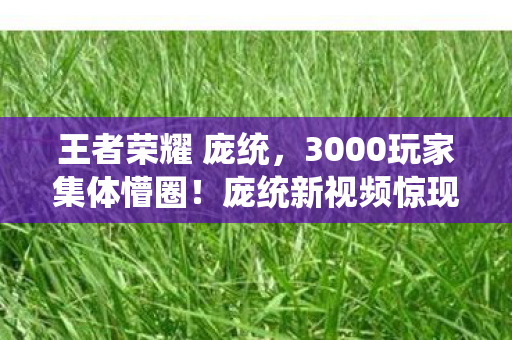 王者荣耀 庞统,3000玩家集体懵圈!庞统新视频惊现傀儡穿墙疑点,老炮当场笑到绷不住 王者荣耀 庞统,3000玩家集体懵圈!庞统新视频惊现傀儡穿墙疑点,老炮当场笑到绷不住