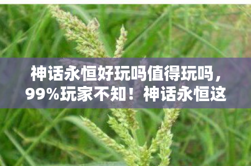 神话永恒好玩吗值得玩吗，99%玩家不知！神话永恒这隐藏机制，竟让游戏体验颠覆180度！