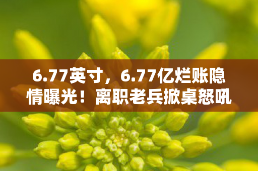6.77英寸，6.77亿烂账隐情曝光！离职老兵掀桌怒吼，这方案早该枪毙！