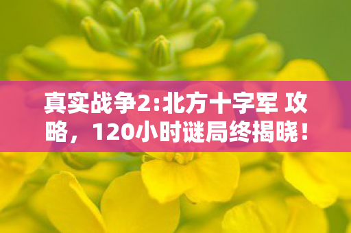 真实战争2:北方十字军 攻略，120小时谜局终揭晓！北方十字军尸骸堆成山，泪目真相竟是……