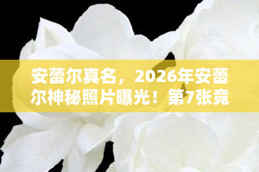 安蕾尔真名，2026年安蕾尔神秘照片曝光！第7张竟藏惊天秘密？