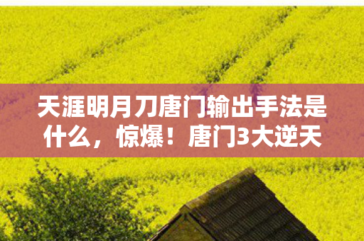 天涯明月刀唐门输出手法是什么，惊爆！唐门3大逆天输出手法，99%玩家竟不知最后一招？