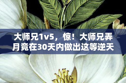 大师兄1v5，惊！大师兄弄月竟在30天内做出这等逆天之举，震撼全网！