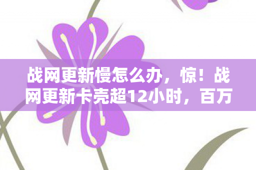 战网更新慢怎么办，惊！战网更新卡壳超12小时，百万玩家怒吼，这速度何时能破？