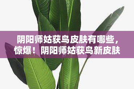 阴阳师姑获鸟皮肤有哪些，惊爆！阴阳师姑获鸟新皮肤3大细节，竟藏着2026年终极秘密？