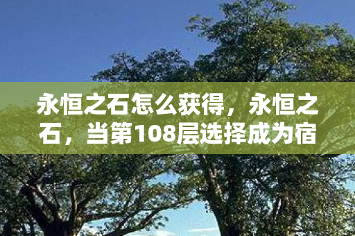 永恒之石怎么获得，永恒之石，当第108层选择成为宿命，自由意志在悖论中震颤