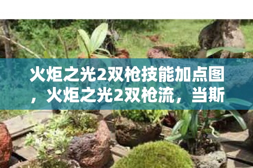 火炬之光2双枪技能加点图，火炬之光2双枪流，当斯金纳箱实验照进沉迷，细思极恐的成瘾陷阱