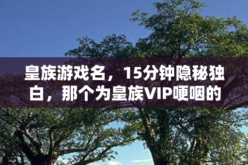 皇族游戏名，15分钟隐秘独白，那个为皇族VIP哽咽的少年，如今只剩登录界面在等