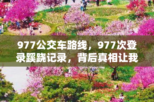 977公交车路线，977次登录蹊跷记录，背后真相让我后背发凉