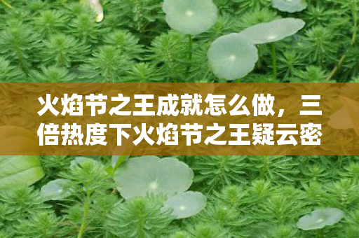 火焰节之王成就怎么做，三倍热度下火焰节之王疑云密布，资本狂欢为何让玩家心寒？
