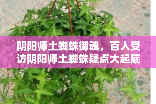 阴阳师土蜘蛛御魂，百人受访阴阳师土蜘蛛疑点大起底！老炮，这破机制我绷不住了！