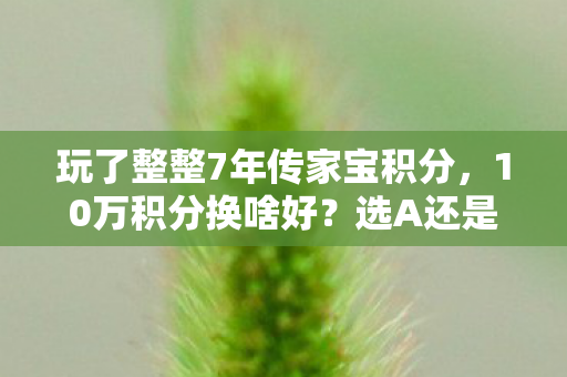 玩了整整7年传家宝积分，10万积分换啥好？选A还是B真让人纠结！