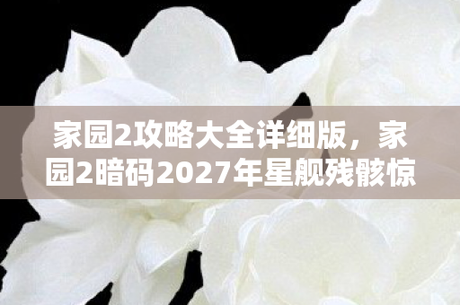 家园2攻略大全详细版,家园2暗码2027年星舰残骸惊现血色坐标,这究竟是宇宙悬案还是毛骨悚然的集体幻觉? 家园2攻略大全详细版,家园2暗码2027年星舰残骸惊现血色坐标,这究竟是宇宙悬案还是毛骨悚然的集体幻觉?