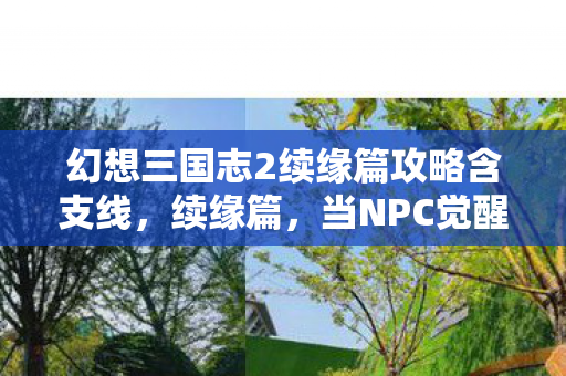 幻想三国志2续缘篇攻略含支线，续缘篇，当NPC觉醒叩问命运层级，你的选择是自由还是宿命轮回？