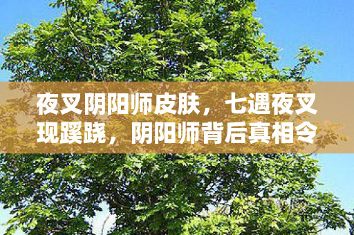夜叉阴阳师皮肤，七遇夜叉现蹊跷，阴阳师背后真相令人后背发凉！
