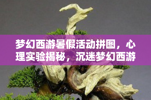 梦幻西游暑假活动拼图，心理实验揭秘，沉迷梦幻西游暑假活动，细思极恐的多巴胺陷阱