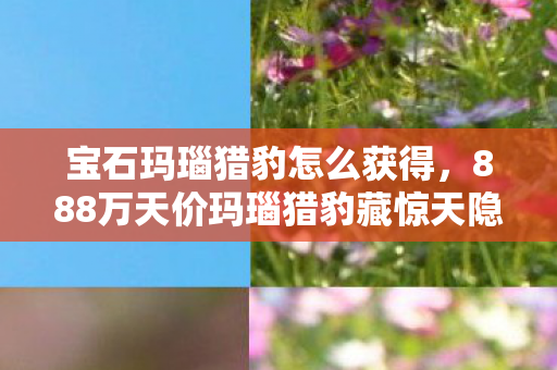 宝石玛瑙猎豹怎么获得，888万天价玛瑙猎豹藏惊天隐情！离职老兵拍桌怒吼，这方案早该枪毙！