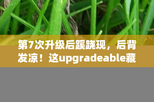 第7次升级后蹊跷现,后背发凉!这upgradeable藏着啥? 第7次升级后蹊跷现,后背发凉!这upgradeable藏着啥?