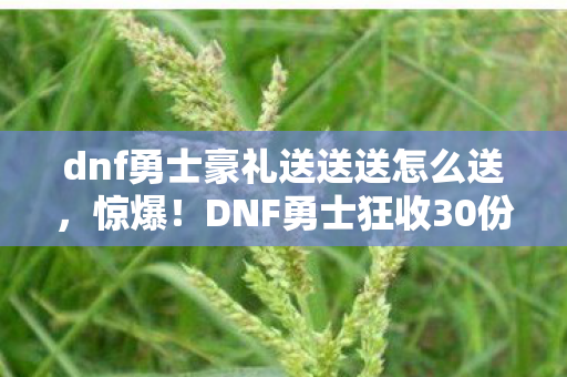 dnf勇士豪礼送送送怎么送，惊爆！DNF勇士狂收30份神秘礼，开箱体验爽到飞起！
