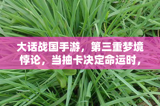大话战国手游,第三重梦境悖论,当抽卡决定命运时,你的自由意志被谁篡改了? 大话战国手游,第三重梦境悖论,当抽卡决定命运时,你的自由意志被谁篡改了?