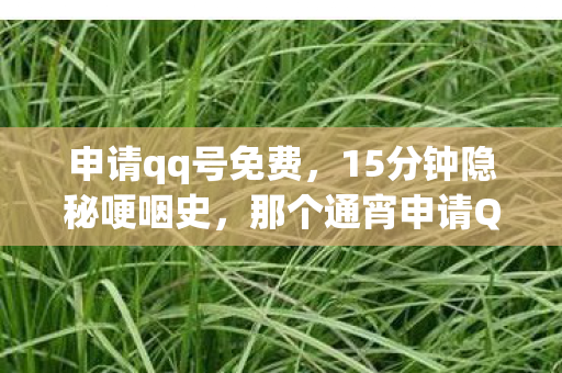申请qq号免费，15分钟隐秘哽咽史，那个通宵申请QQ号的夜晚，我们到底弄丢了什么？