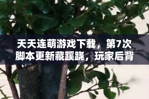天天连萌游戏下载,第7次脚本更新藏蹊跷,玩家后背发凉,这背后竟藏着人性深渊! 天天连萌游戏下载,第7次脚本更新藏蹊跷,玩家后背发凉,这背后竟藏着人性深渊!