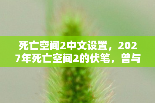 死亡空间2中文设置，2027年死亡空间2的伏笔，曾与你共赴，如今想起鼻子一酸
