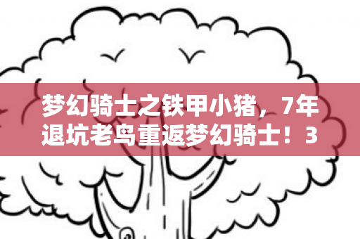 梦幻骑士之铁甲小猪，7年退坑老鸟重返梦幻骑士！3天狂肝300小时，这波更新是神是鬼？