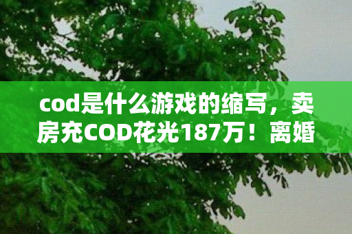 cod是什么游戏的缩写，卖房充COD花光187万！离婚协议藏惊天隐情，看完吓出一身冷汗！