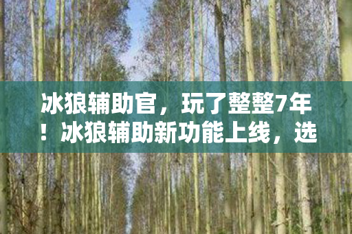 冰狼辅助官，玩了整整7年！冰狼辅助新功能上线，选它还是弃它成最大纠结？
