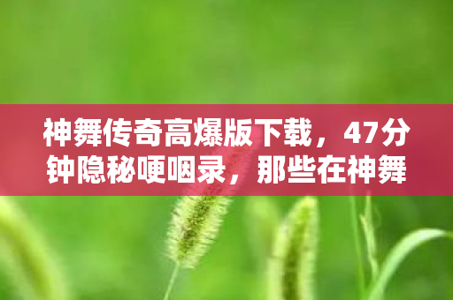 神舞传奇高爆版下载，47分钟隐秘哽咽录，那些在神舞传奇里通宵的夜晚，你还记得吗？